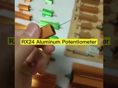 RX24 Resistor de caja de aluminio de oro de alta potencia 25W 50W 100W 200W 300W Elemento de carga limitante de corriente de automóvil